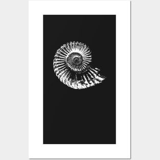 Ammonite fossil tshirt, ideal gift for fossil hunters Posters and Art